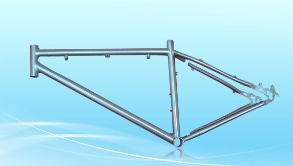 Titanium Bike Frame